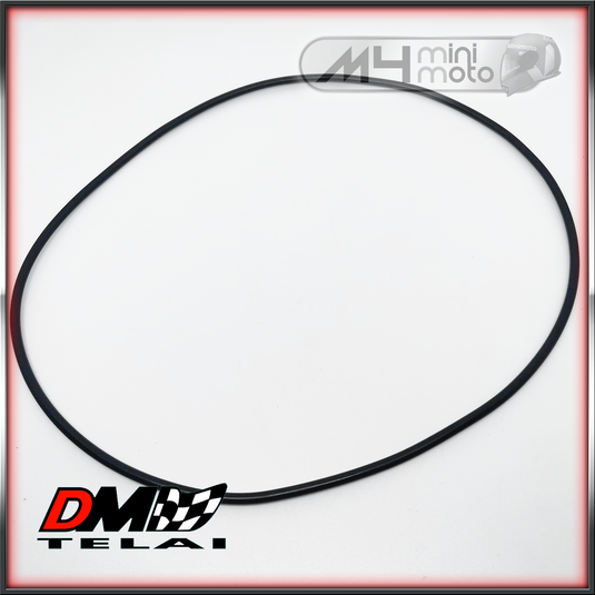 DM Extra Long Waterpump Belt