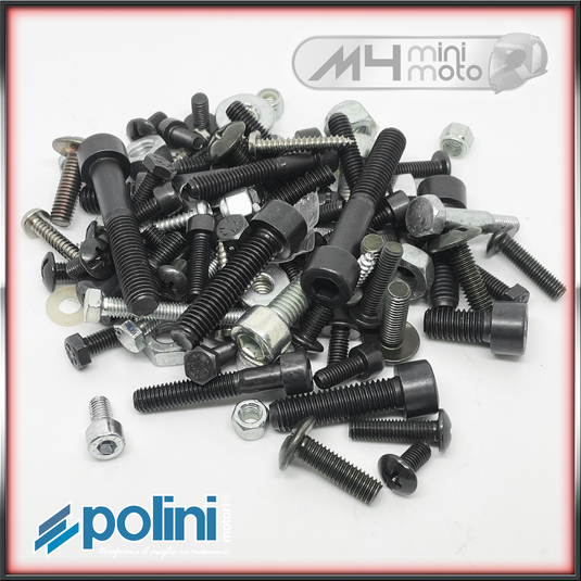 Polini Bolt Kit 910s - Fairing and Chassis