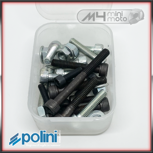 Polini Engine Bolts W/C Engine