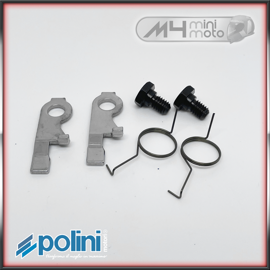 Polini Starter Pawls & Springs