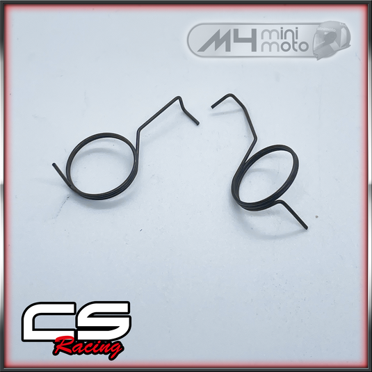 CS Racing Starter Pawl Springs