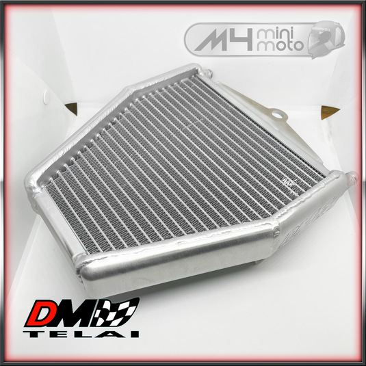 DM Racing Radiator