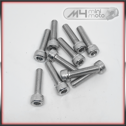 M5x20 Capscrew (pk10)