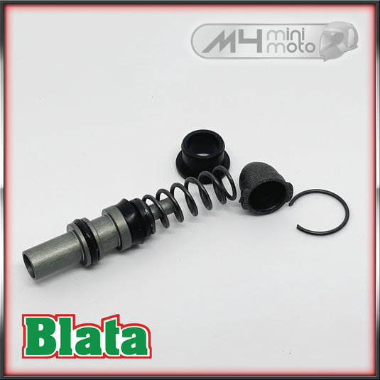 Formula Master Cylinder Piston Kit Old Type