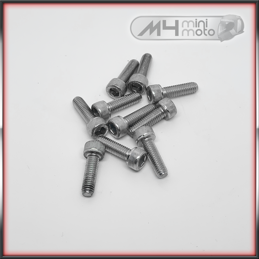 M5x16 Capscrew (pk10)