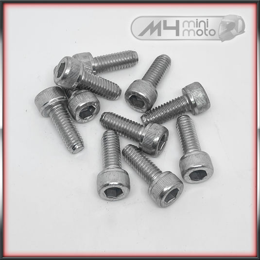 M6x16 Capscrew (pk10)