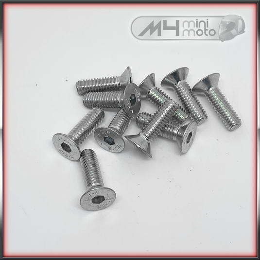 M6x20 Countersunk Skt Screw (pk10)