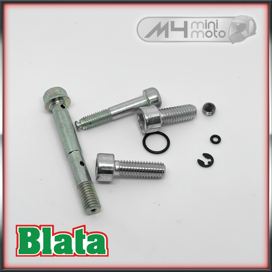 Formula Caliper Bolts And O Rings - Radial Caliper