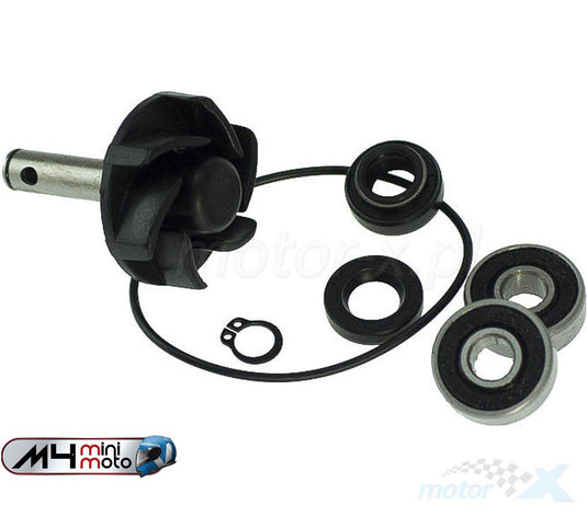 Cs Waterpump Repair Kit