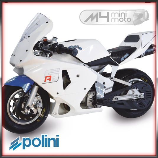 Copy of Polini 910 Carena RS Minibike 6.2