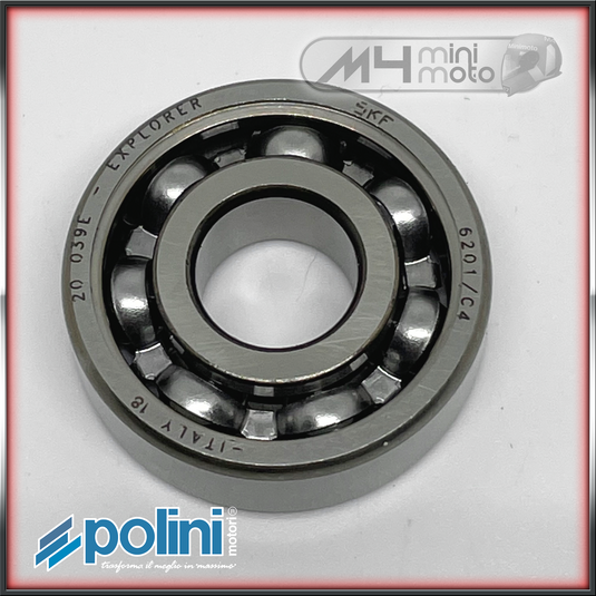 Bearing - Transfer Shaft Polini Reverse