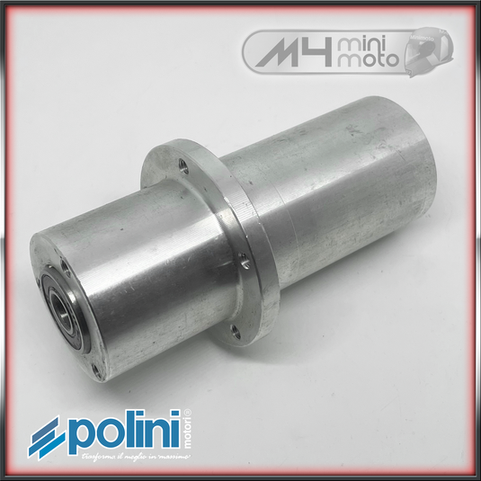 Hub Rear Polini