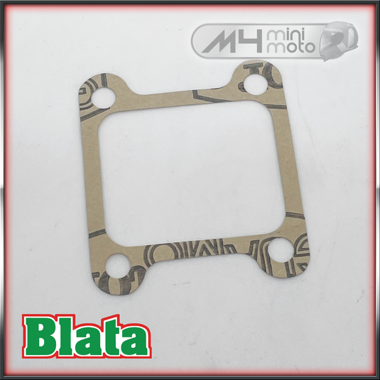 Blata 2.5 Inlet Gasket