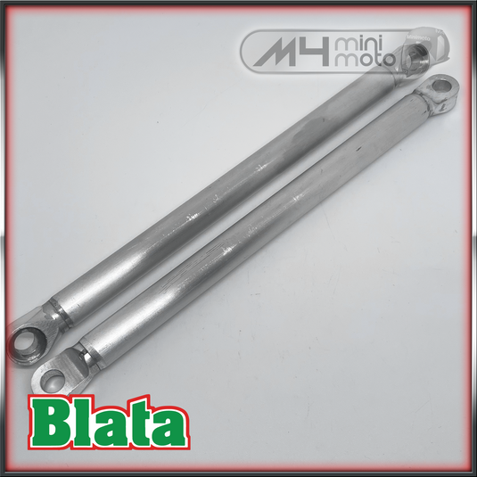 Struts - Blata Ultima Swingarm  (pr)