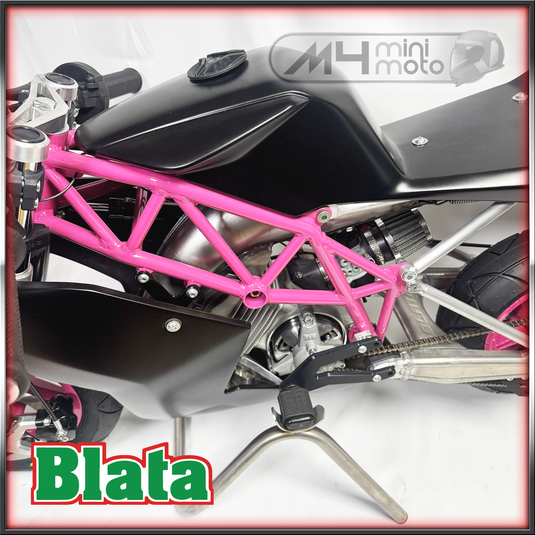 Blata Ultima RM10S