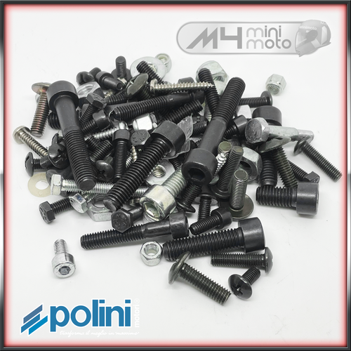 Polini Bolt Kit 911 - Fairing and Chassis