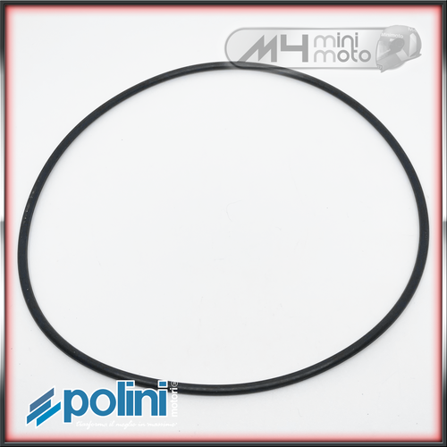 Polini Waterpump Belt For Rear Wheel 6