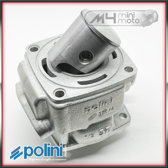 Polini 40cc 36mm W/C H2O Cylinder 316/4