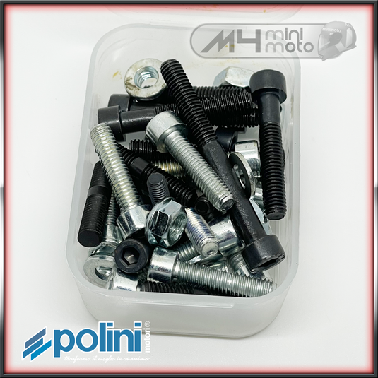 Polini Engine Bolts Air Engine