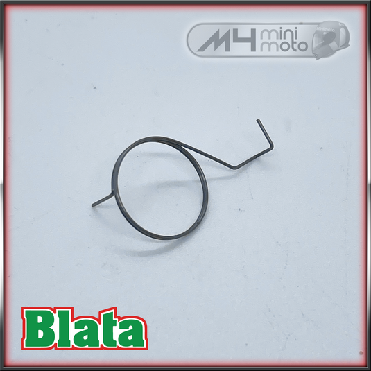 Blata Starter Pawl Spring (ea)