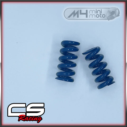 CS Racing 2 Shoe Clutch Springs