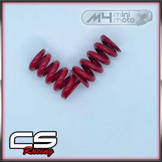 CS Racing 2 Shoe Clutch Springs