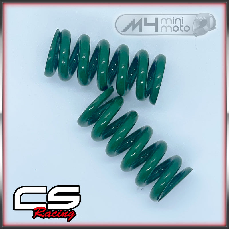 Load image into Gallery viewer, CS Racing 2 Shoe Clutch Springs
