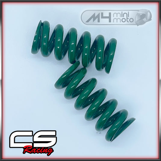 CS Racing 2 Shoe Clutch Springs