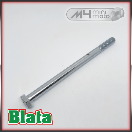 Blata Steering Headstock Bolt