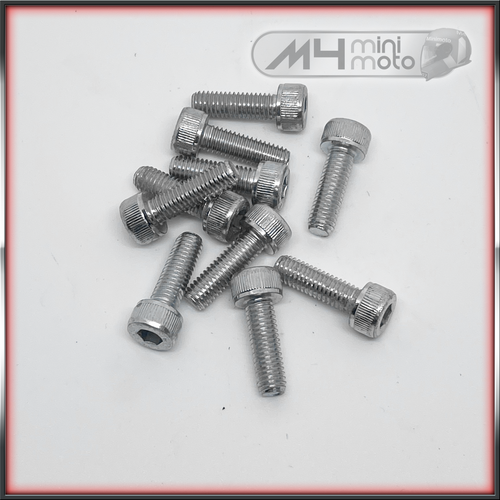 M6x20 Capscrew (pk10)