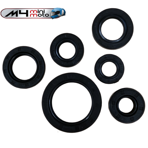 CW Oil Seal Kit YX160